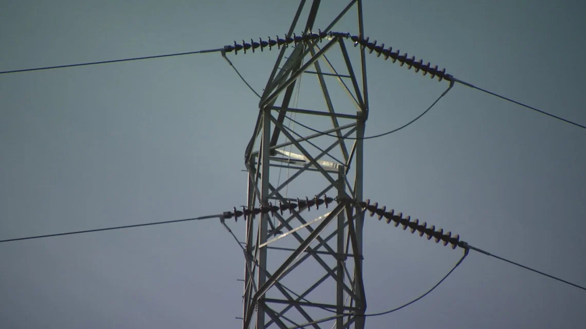 Indiana urges residents to curb electricity use as power supply tightens, SMR option eyed