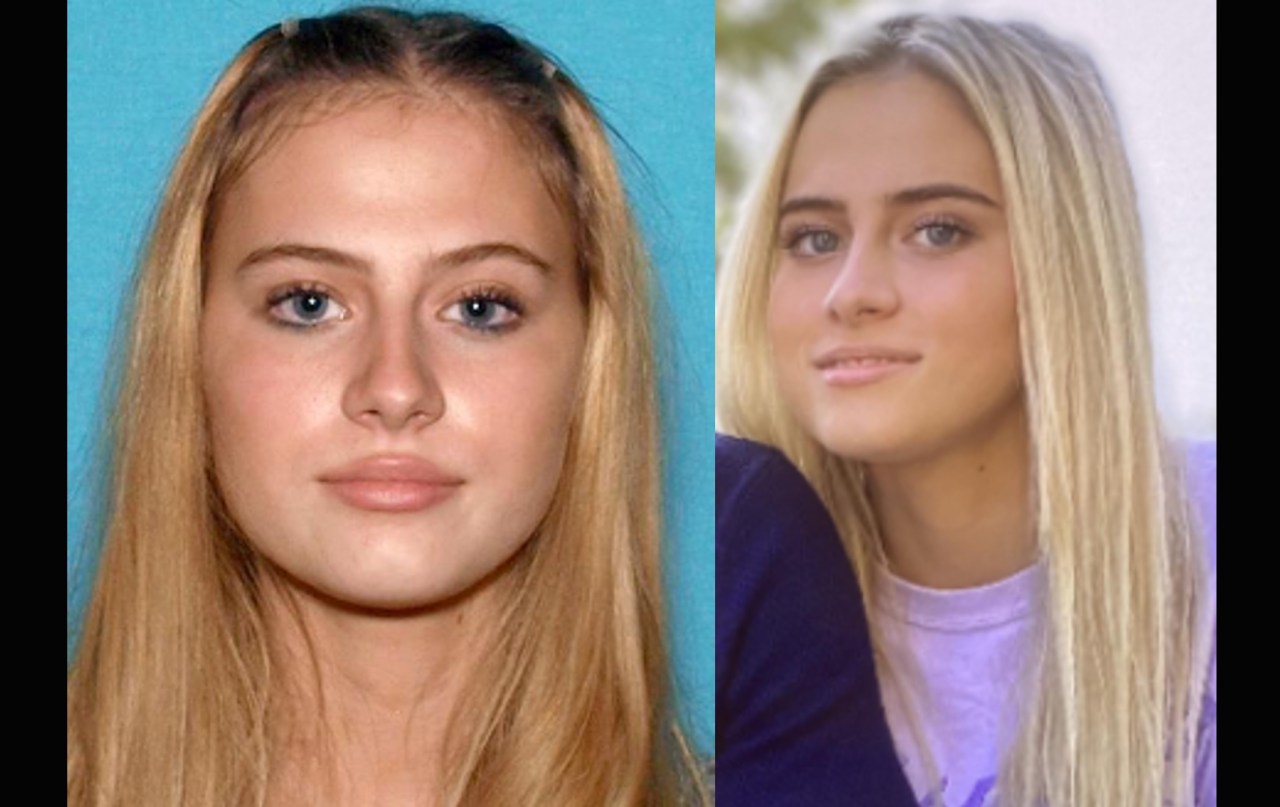 "Discovery of Human Remains in Search for Katherine Schneider"