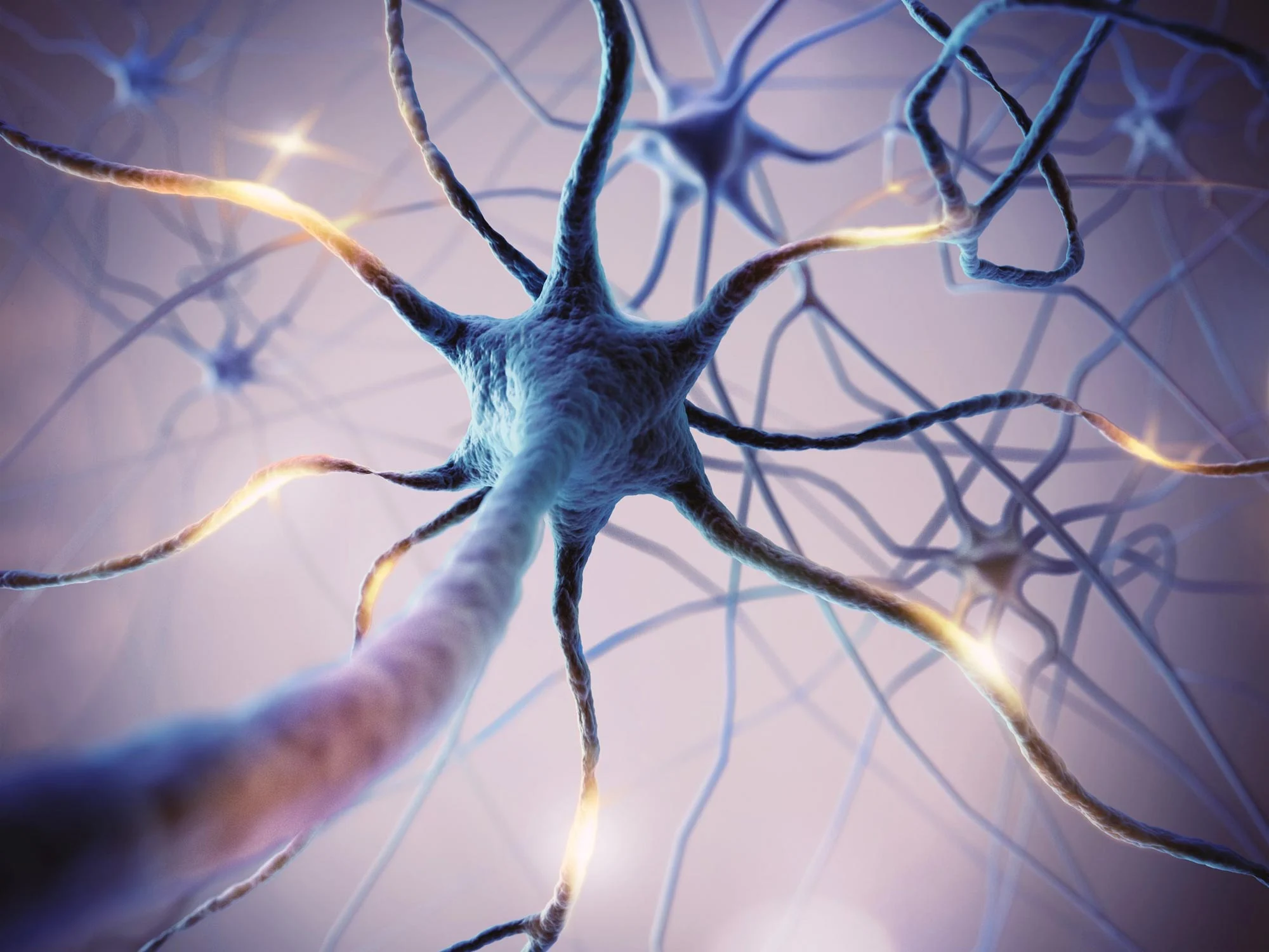 Featured image for Newly Found Neuron Could Curb Overeating