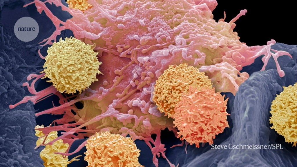 Featured image for Revolutionary CAR-T Therapy: A Game-Changer for Autoimmune Diseases