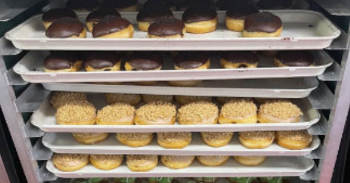 Featured image for "Doughnut Thief Finally Caught After 2-Week Chase"