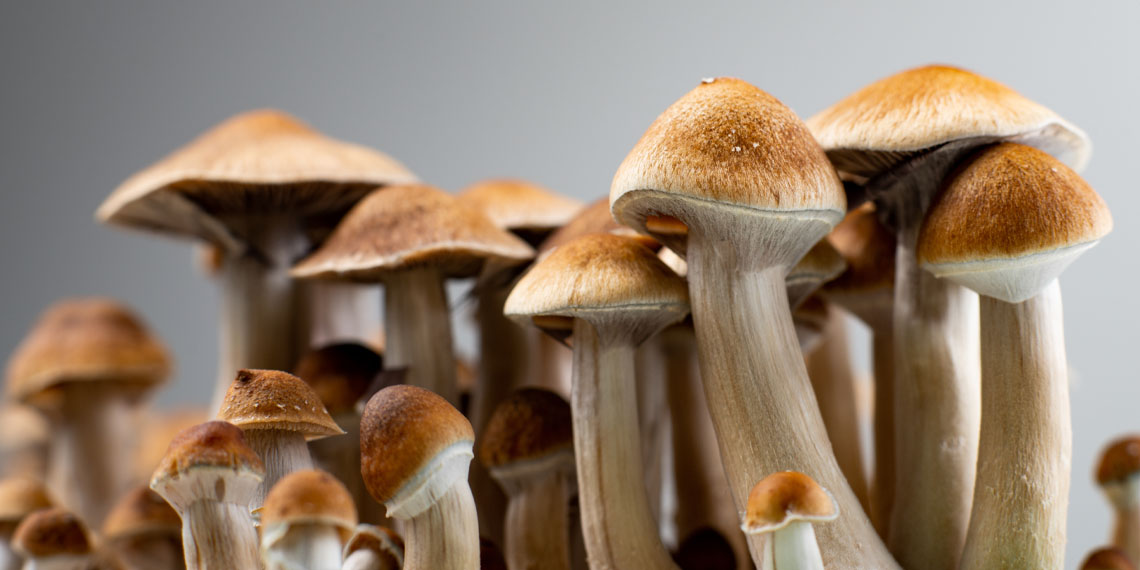 Featured image for Understanding the Science Behind Psilocybin's Effects on Consciousness.