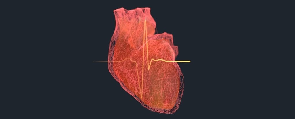 Featured image for Majority of Heart Attacks and Strokes Tied to Four Key Risk Factors