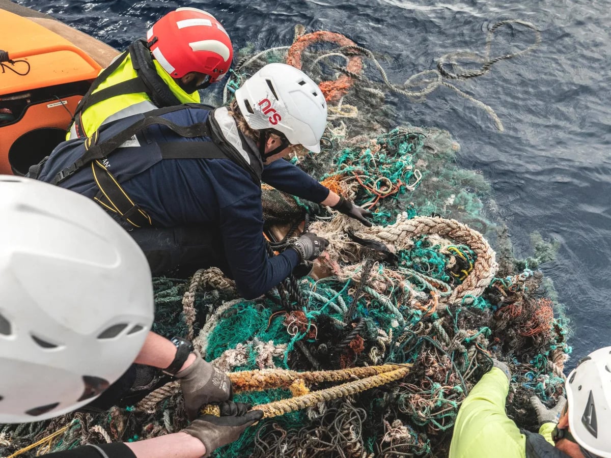 Featured image for The Great Pacific Garbage Patch: A Thriving Ecosystem for Coastal Species.