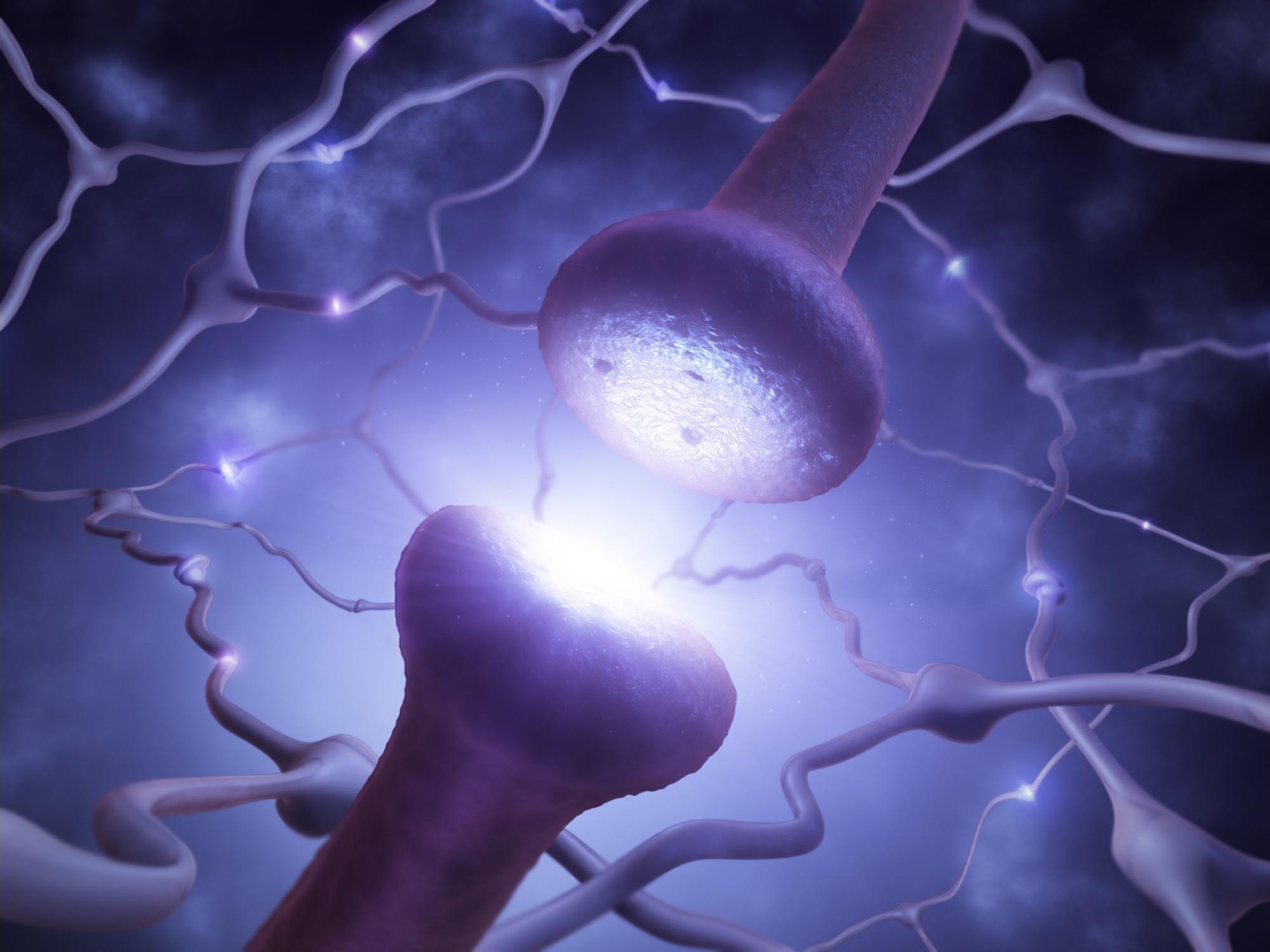 Featured image for New Study Challenges Traditional Views on Neuron Structure