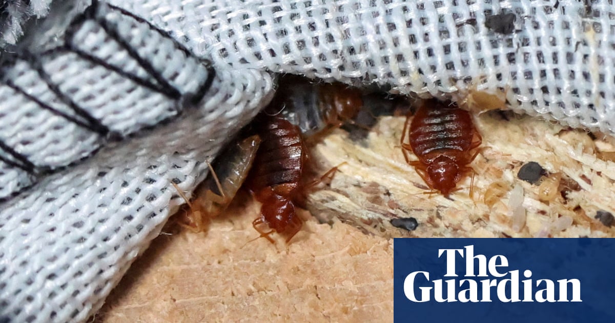 Paris Bedbug Infestation Sparks Global Concerns