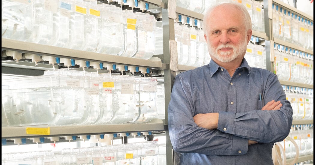 Featured image for James Hudspeth, Pioneer in Hearing Research, Dies at 79