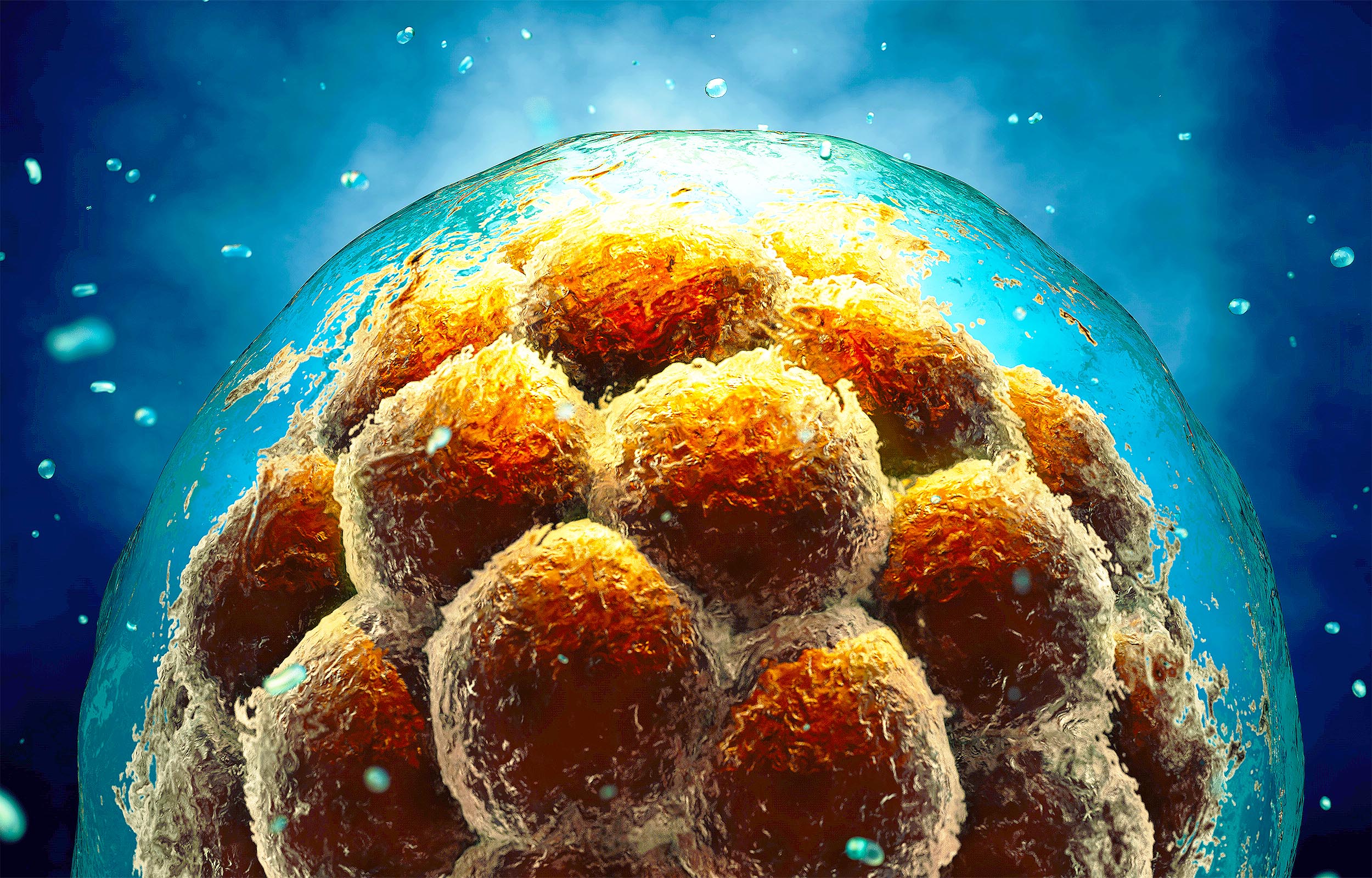 Featured image for Australian Scientists Develop Genetic Barcoding to Decode Human Development