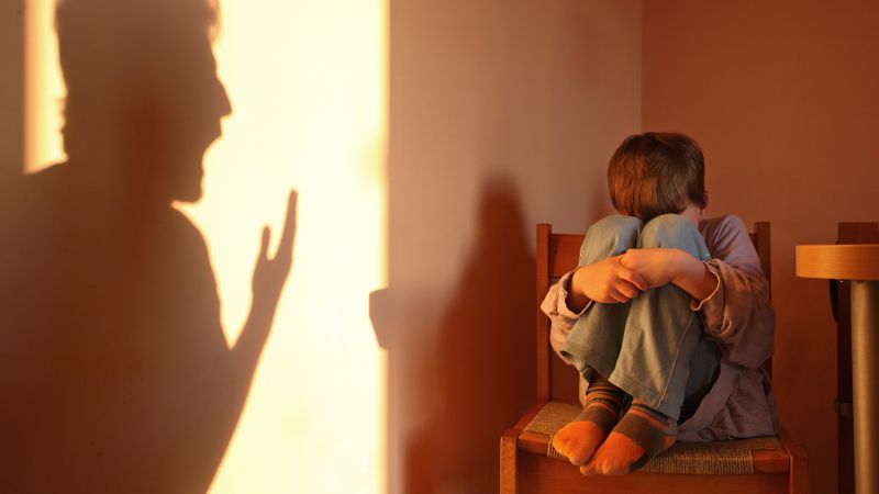 The Damaging Effects of Adult Verbal Abuse on Children Revealed in Study
