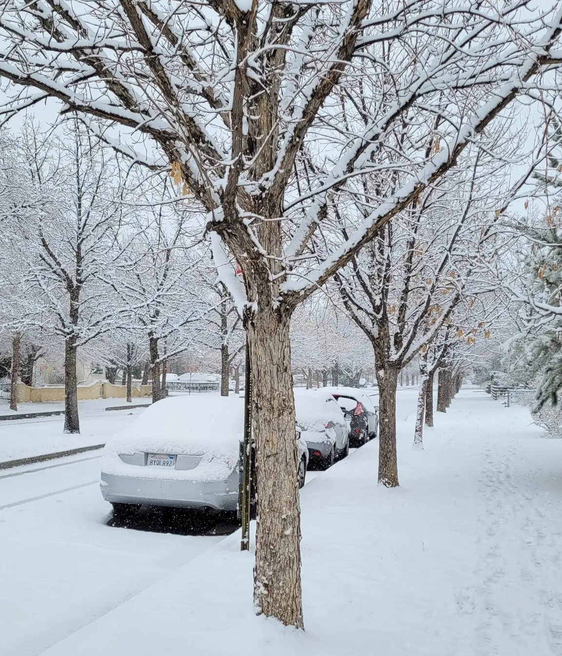 "Winter Weather Wreaks Havoc Across New Mexico"