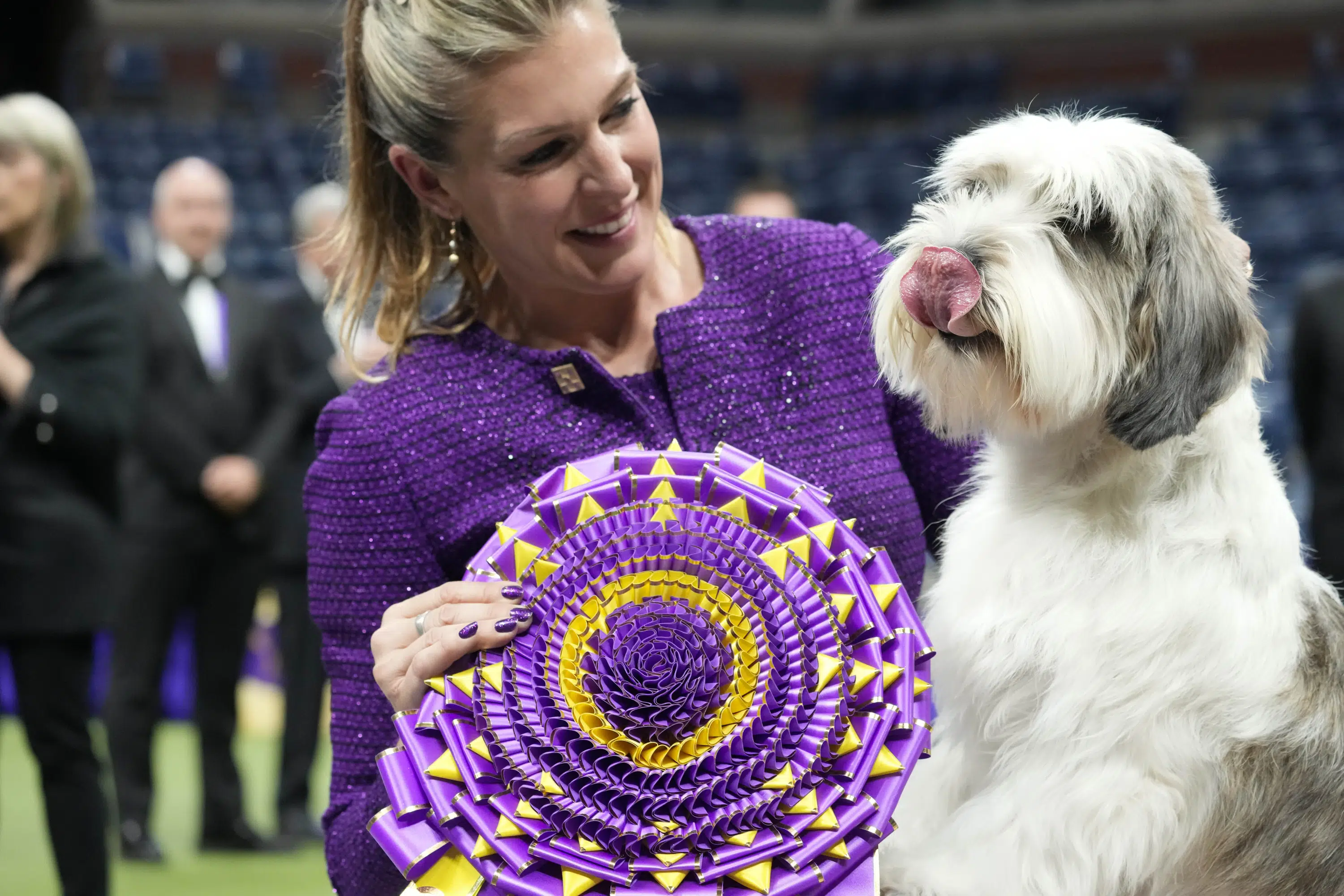 Featured image for "PBGV Makes History as First Breed to Win Westminster Dog Show"