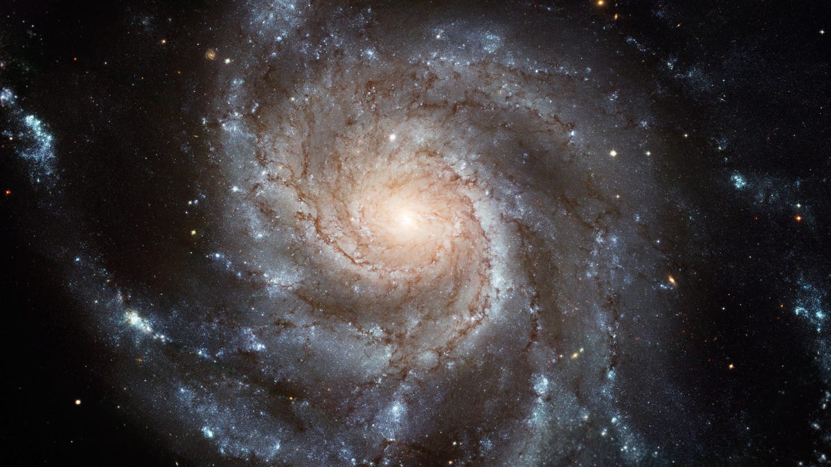 "New Supernova Visible to Amateur Astronomers in Night Sky"