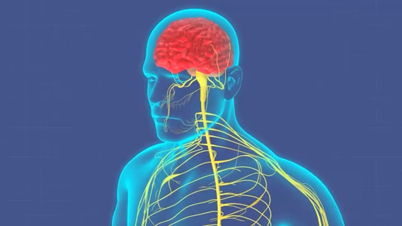 Featured image for Unveiling POTS: The Overlooked Long-Term Impact of COVID