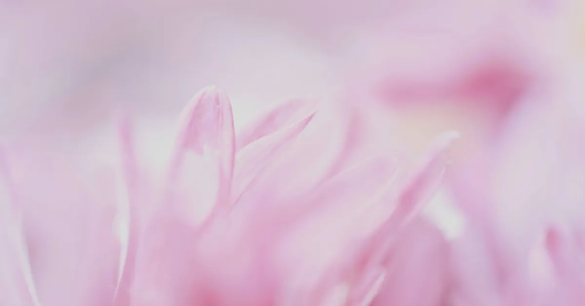 Featured image for iPhone 18 Rumored to Feature Major Upgrades and Design Variations