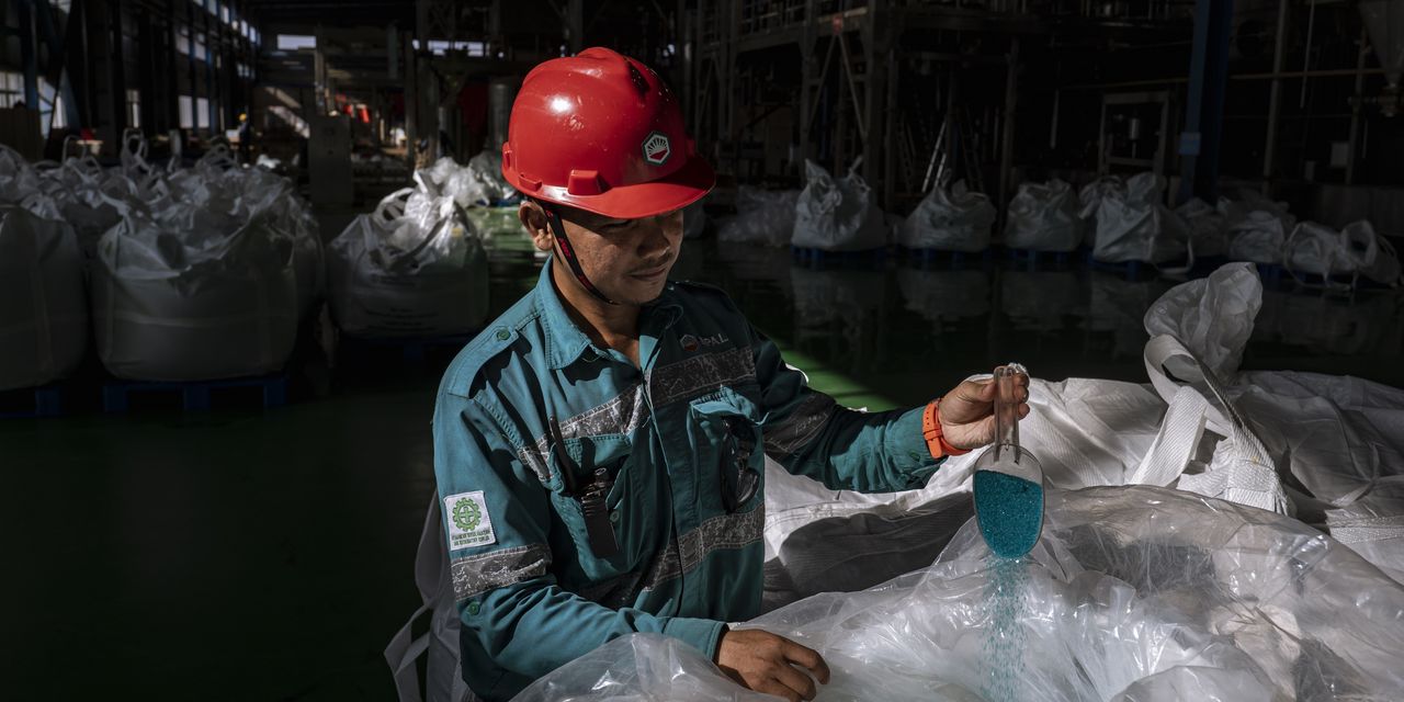 Featured image for "Unveiling the Hidden Victims: The Economic Losers in the New World Order"