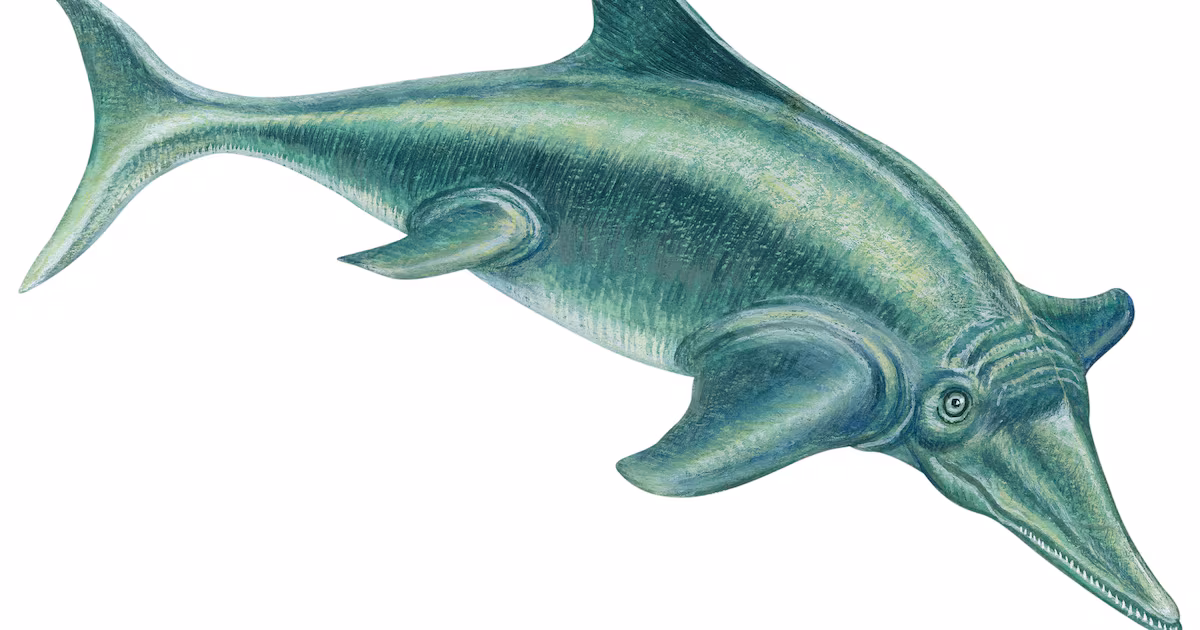 Featured image for Unique Jurassic 'Sword Dragon' Marine Reptile Fossil Discovered in England