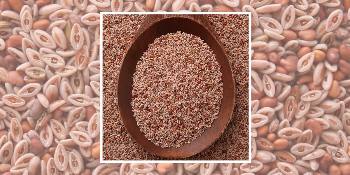 Featured image for "Exploring Psyllium Husk as an Affordable Ozempic Substitute"