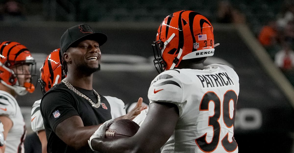 Denver Broncos add running back Jacques Patrick to roster