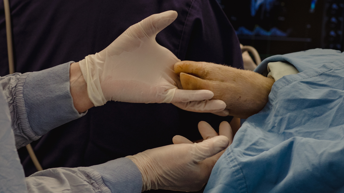 Featured image for "Ethical Concerns and Potential Benefits of Artificial Wombs for Premature Babies"