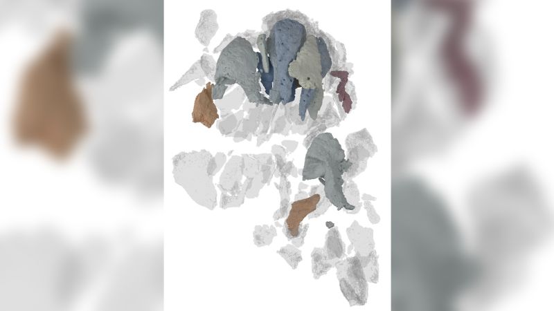 Featured image for "3D Fossil Reveals Evolutionary Clues to Vertebrate Skull Development"