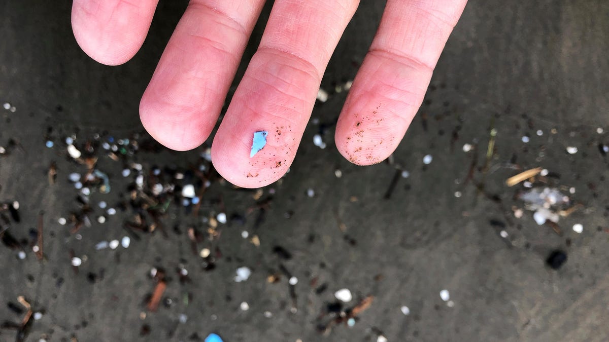 Microplastics Found in Global Diet: Study of 109 Countries Reveals Health Risks