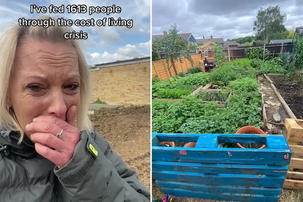 Charity garden destroyed by vandals receives outpouring of support.
