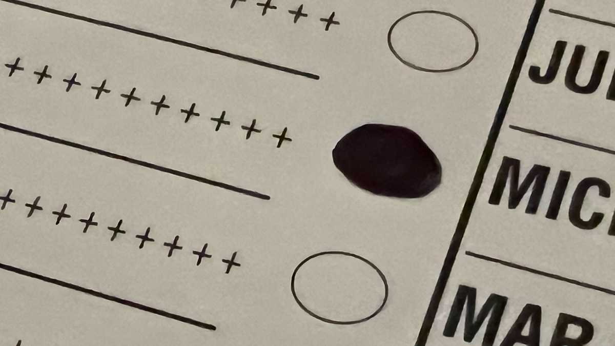 "Uncommitted Voters Make Their Mark on Super Tuesday Primaries"