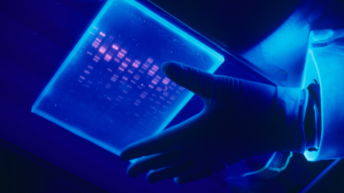 Featured image for "Uncovering the Link Between DNA and Opioid Addiction Risk"