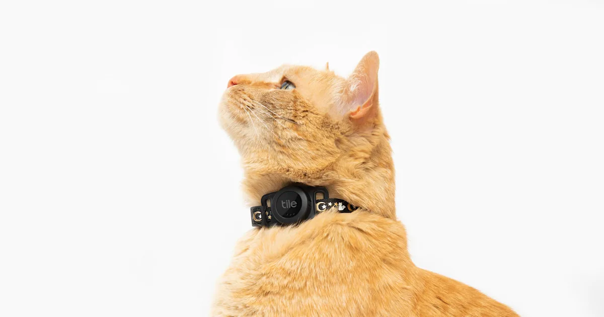 Featured image for Track Your Feline Friend with Tile's Cat-Finder Accessory.