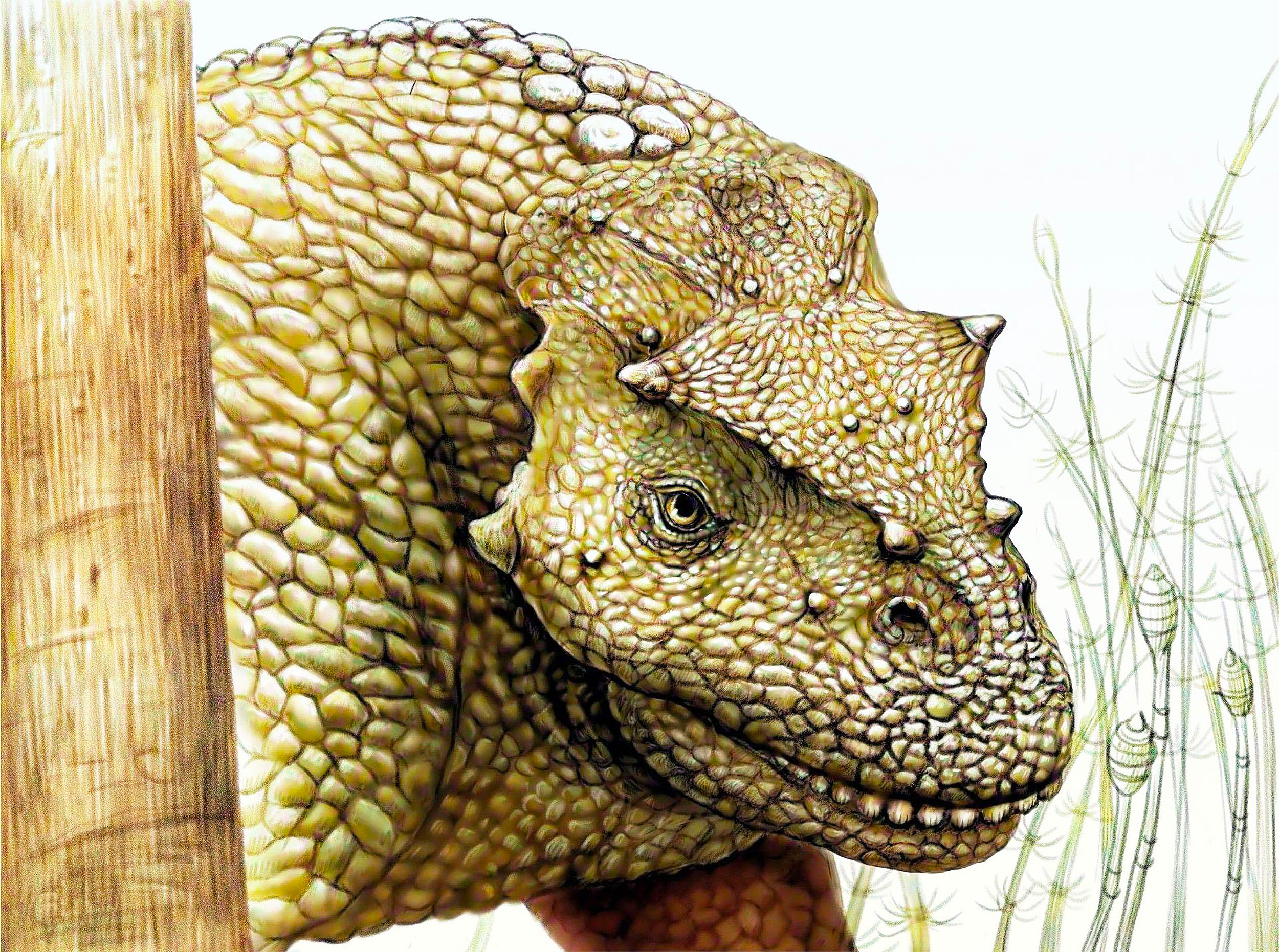 Featured image for Scientists Uncover 259-Million-Year-Old Prehistoric Animal