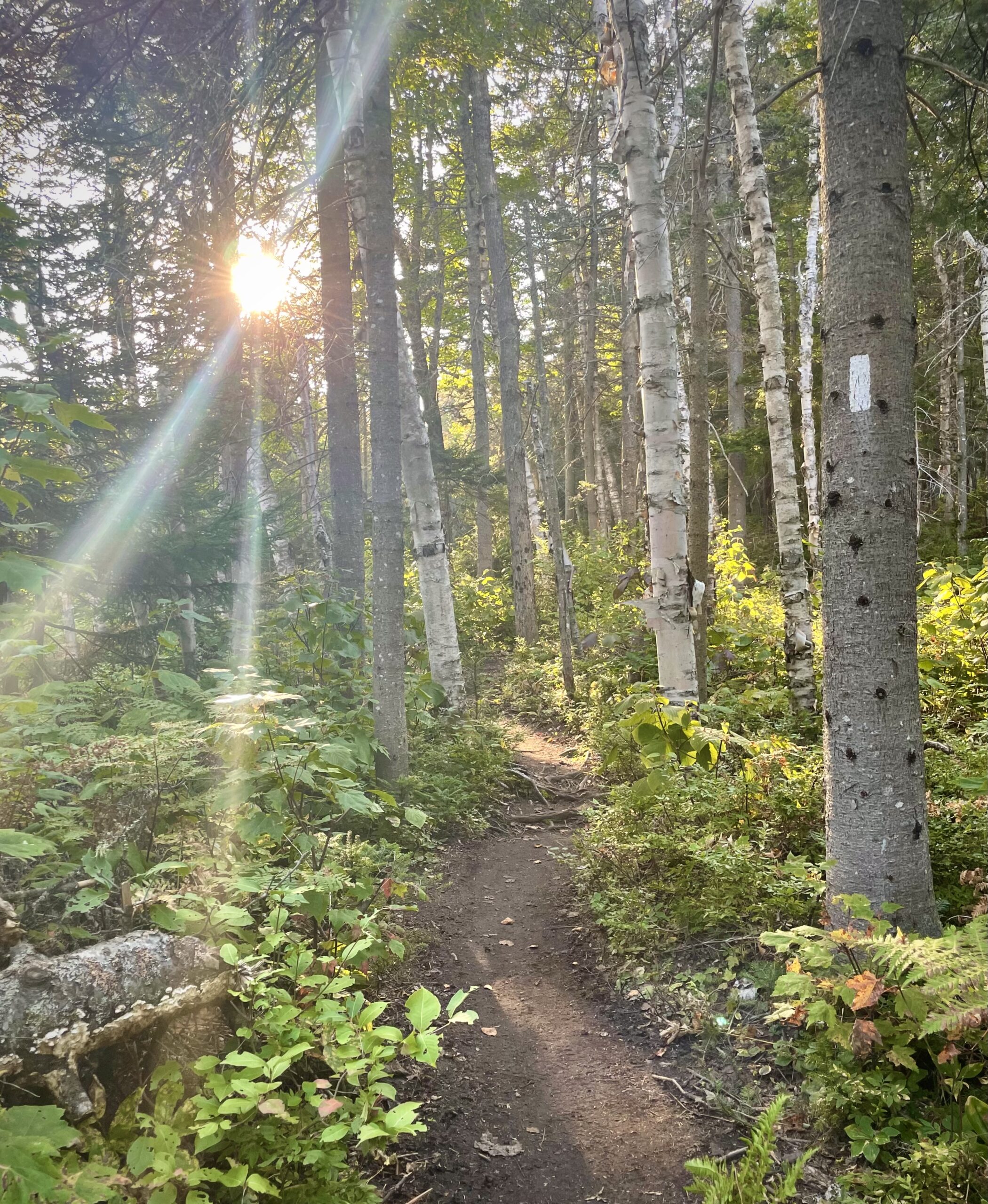 Featured image for "Boost Your Health with New Hampshire's Natural Wonders"