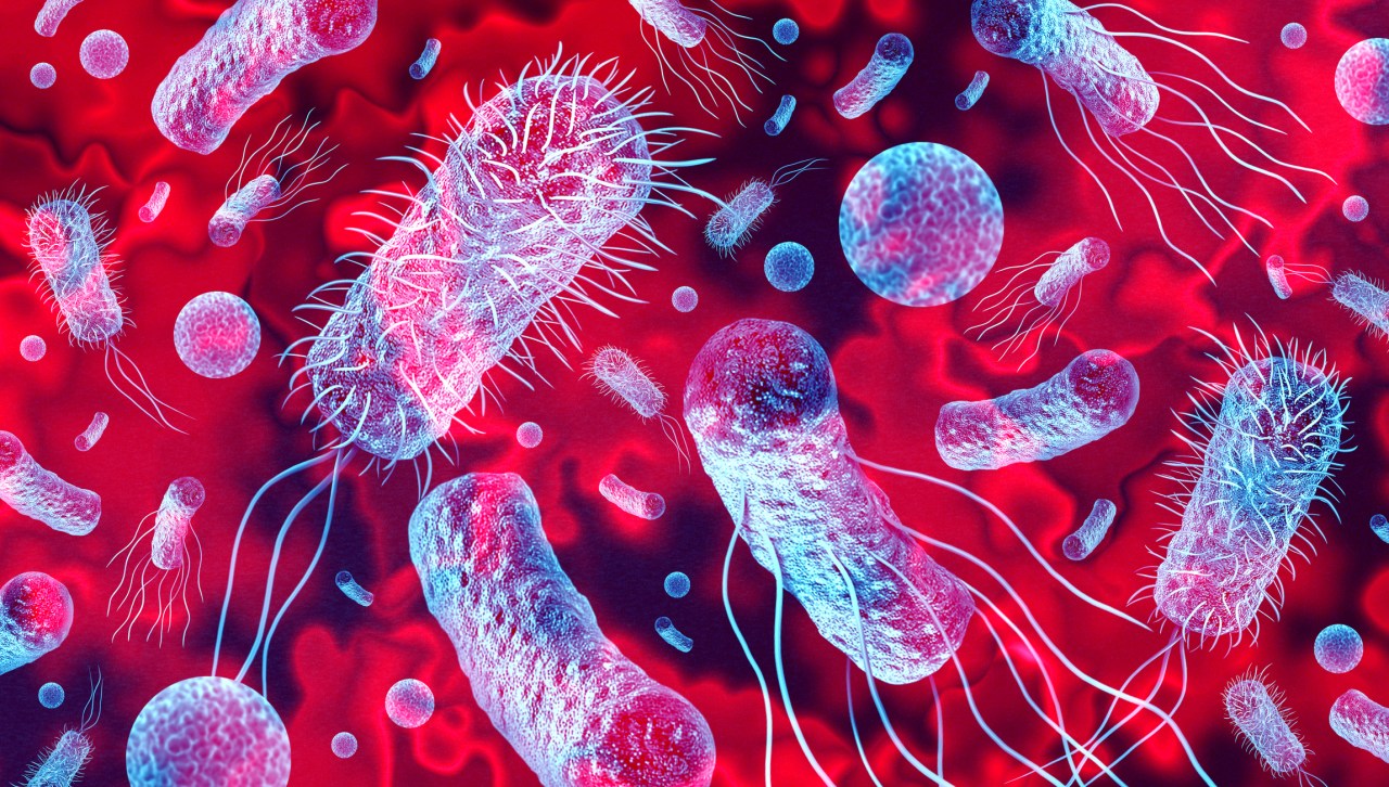 "Multiple Retailers Issue Recalls Over Listeria Outbreak Concerns"
