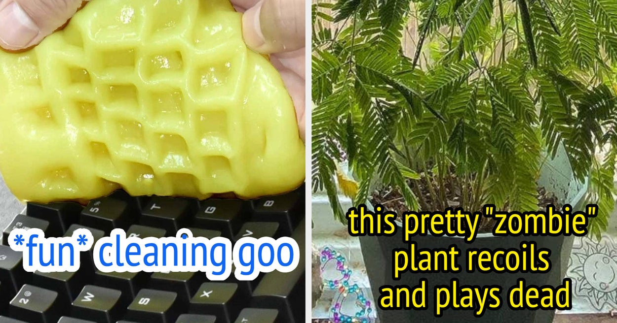 Featured image for Unique Gifts for the Quirky Friend in Your Life