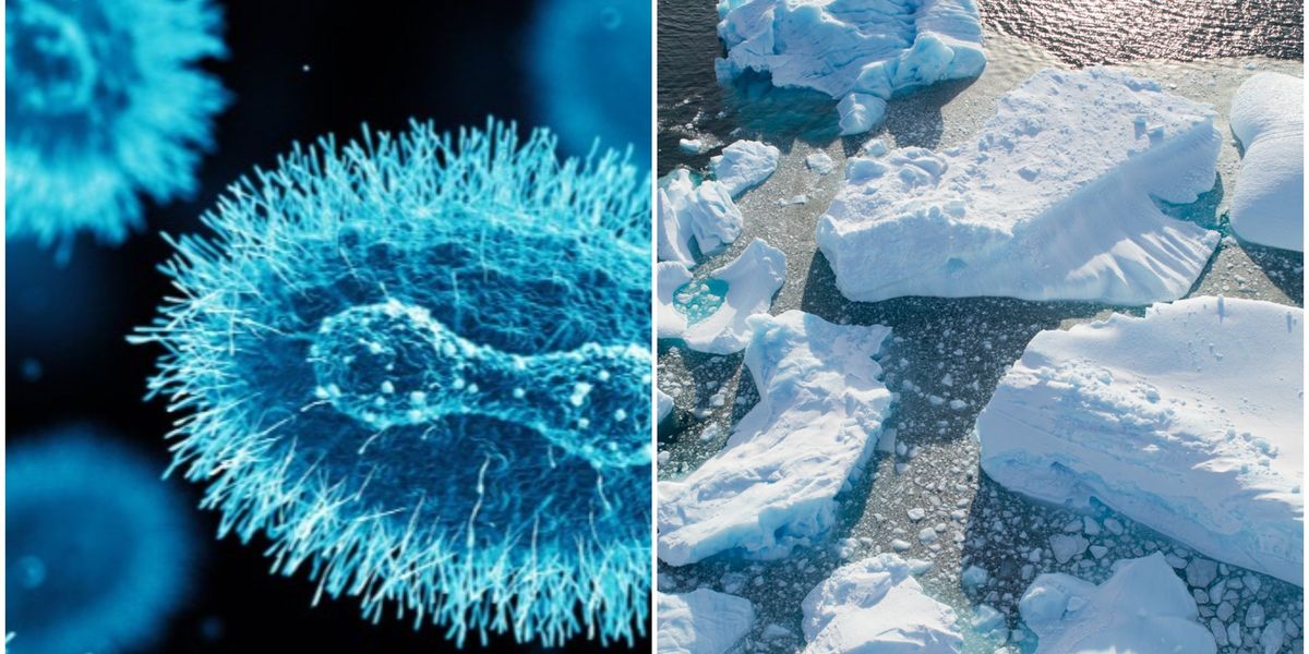 "Arctic Zombie Viruses: The Looming Pandemic Threat"