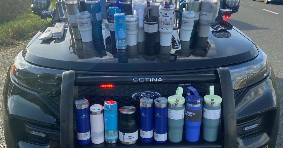 "California Woman Arrested for Stealing $2,500 Worth of Stanley Cups and Bottles"