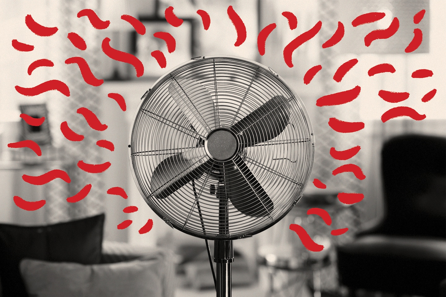 Featured image for Rethinking Fans: When They Help or Hinder in Hot Weather