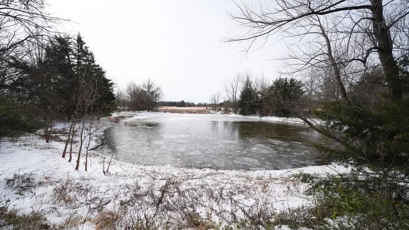 Texas mother dives into icy pond, unable to save three sons
