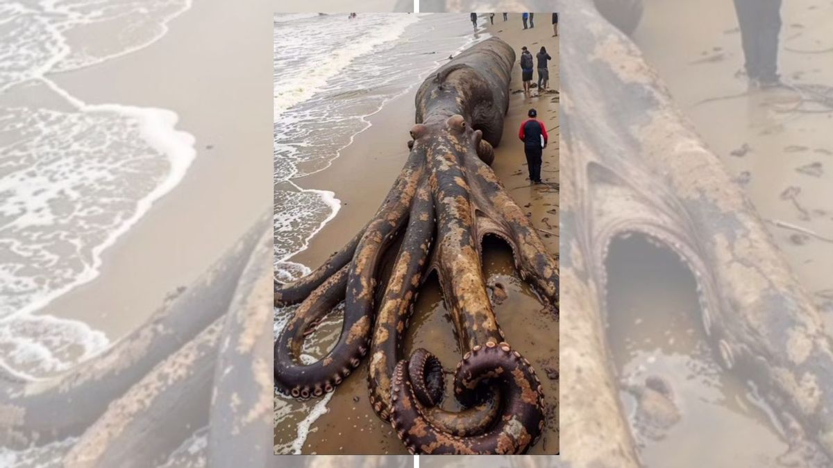Fact Check: Debunking the Giant Octopus Photo from Indonesia
