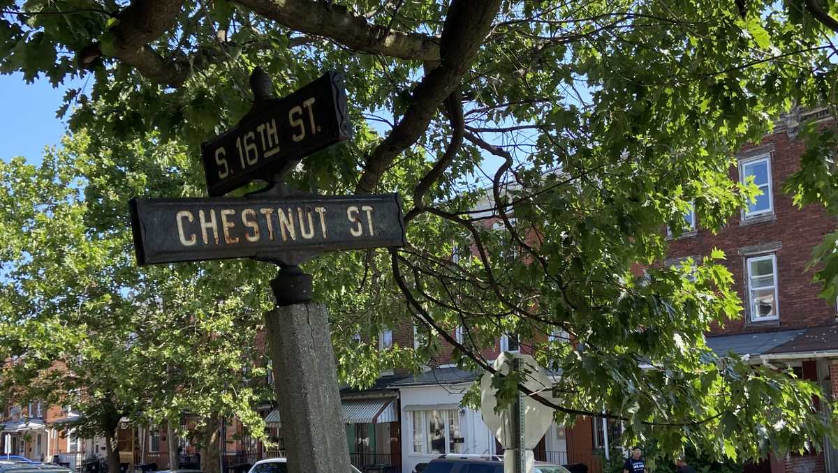 Featured image for Fatal Shooting in Harrisburg: Woman Killed in Street Fight