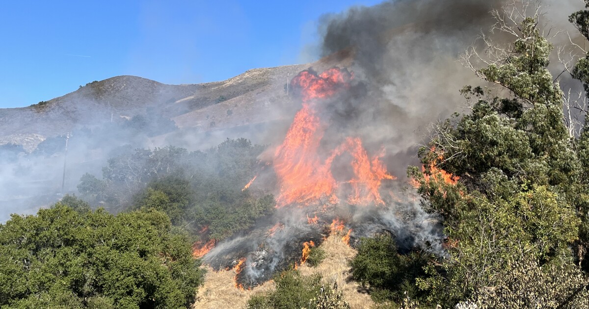 Featured image for Arrested Teen Linked to San Luis Obispo Brush Fire and Aromas Eucalyptus Yard Fire