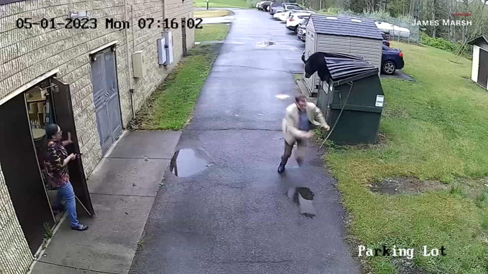 Featured image for West Virginia Principal's Close Encounter with Dumpster-Diving Bear Caught on Camera