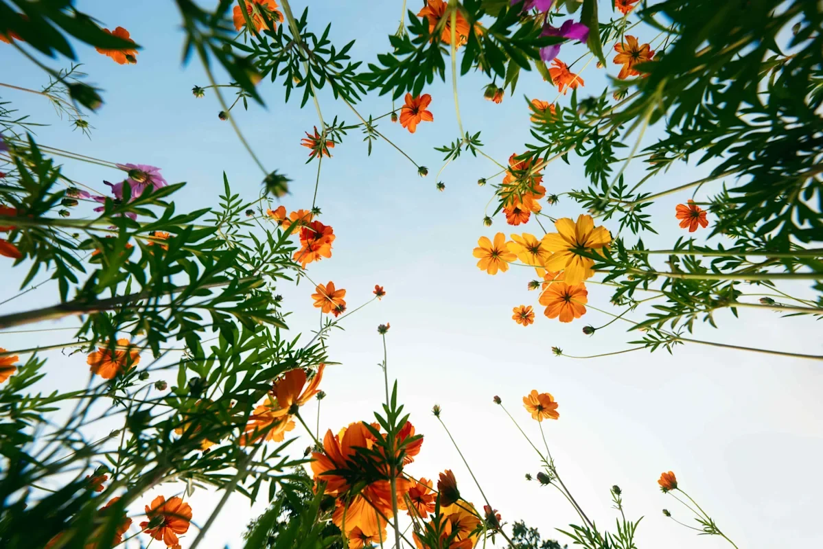 Featured image for Psychology Tips to Brighten a Gloomy Day