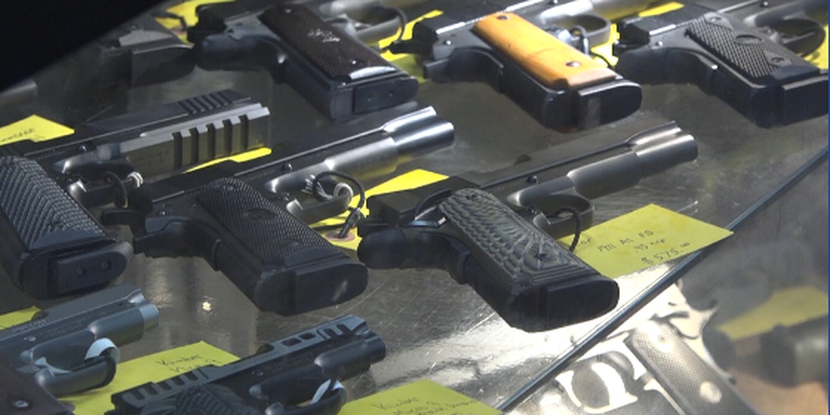 Biden's Executive Order on Gun Control Sparks Mixed Reactions.
