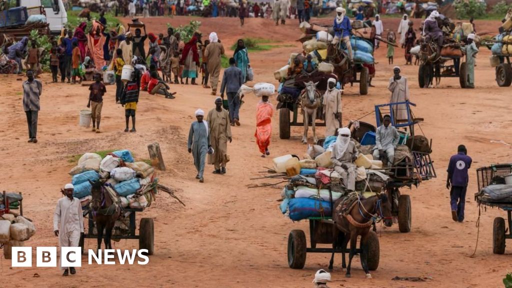 UN Expert Warns of Genocide Amid Escalating Violence in Darfur