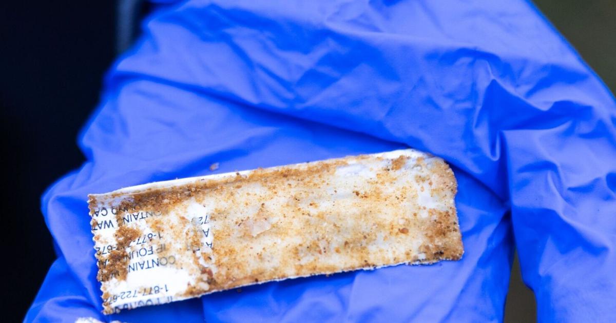 Featured image for "Omaha Takes Action: Preventing Wildlife Rabies with Oral Vaccine Distribution"