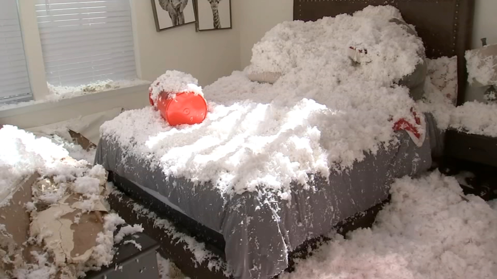 Surviving the Tornado: Woman's Grateful Birthday in Delaware