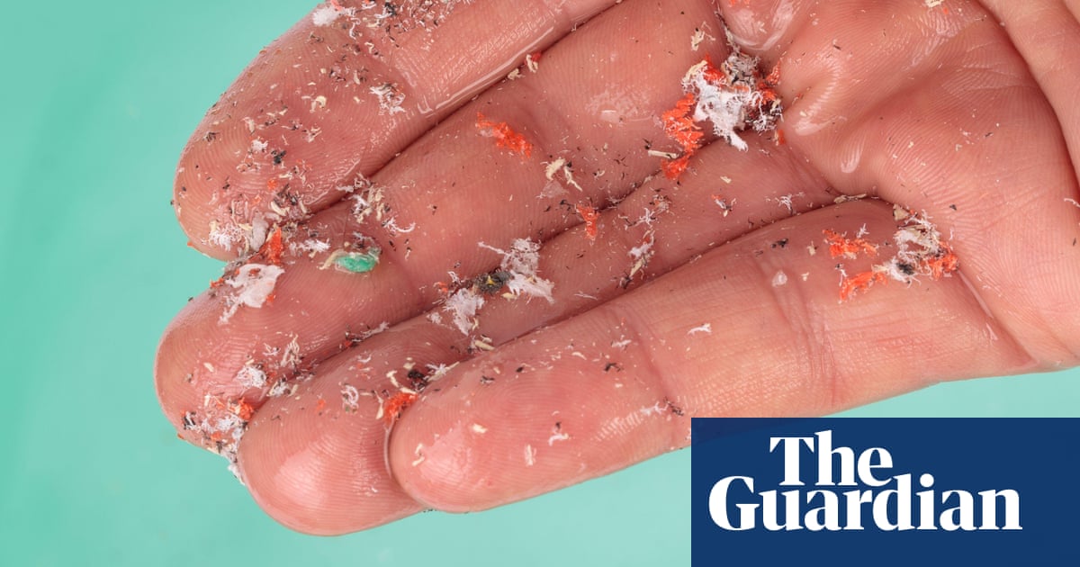 "Study Links Microplastics to Increased Risk of Heart Attack and Stroke"