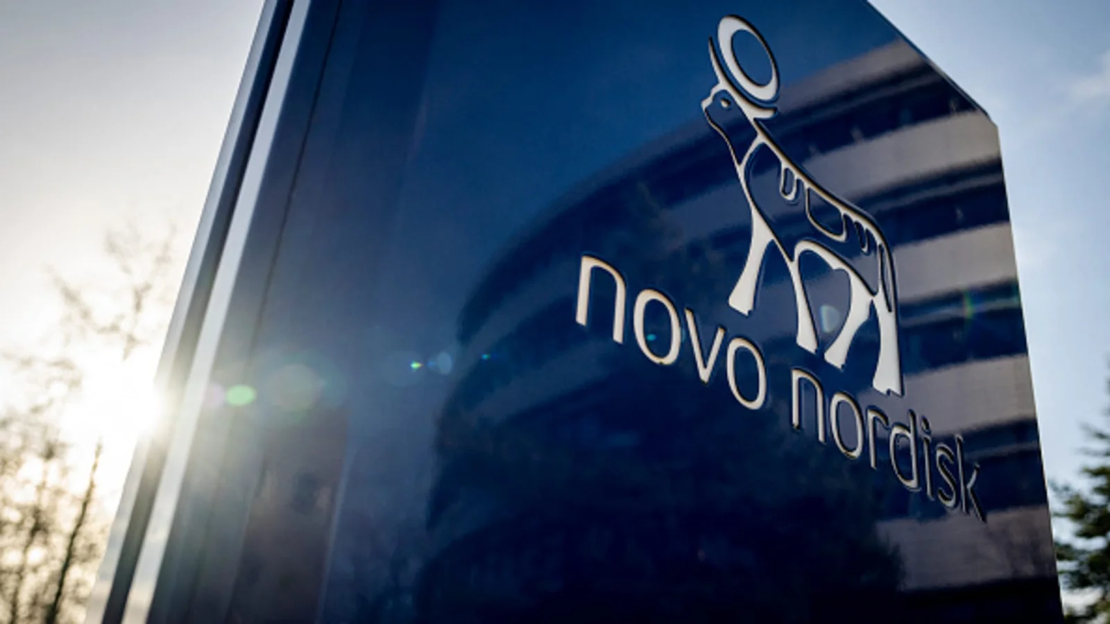 Novo Nordisk's Bid for Metsera Sparks Industry Rivalry and Regulatory Scrutiny