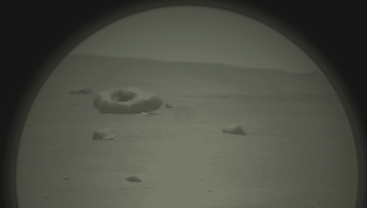 Mysterious Donut-Shaped Rock Baffles Scientists on Mars
