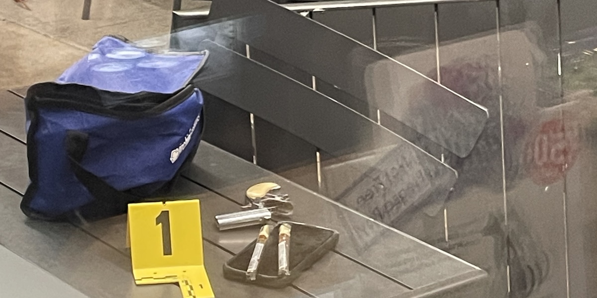 Violent Altercation at Greenville Sports Bar Leaves One Person Fatally Shot